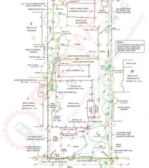 Feature survey plan detail